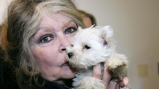 Elle avait traité le patron des chasseurs de "sous-homme" : Brigitte Bardot condamnée par la justice