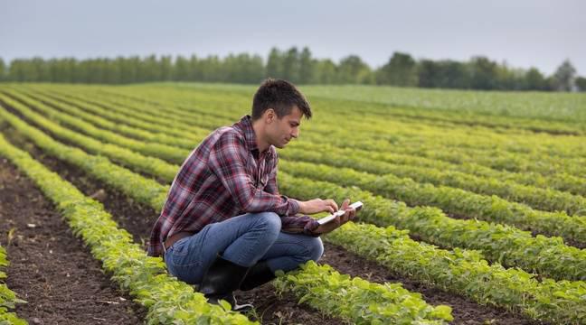 Alimentation : L'Union européenne donne son feu vert pour viser 25 % d’agriculture bio d’ici 2030