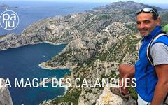 A la découverte des Calanques, joyau préservé des Marseillais