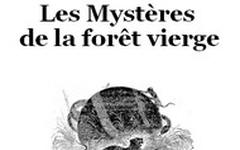 Livre audio gratuit : LOUIS-BOUSSENARD - LES ROBINSONS DE LA GUYANE 3 – LES MYSTèRES DE LA FORêT VIERGE