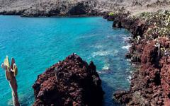 Série d’été | Ces 50 lieux à visiter après la pandémie : Les Îles Galápagos, Équateur