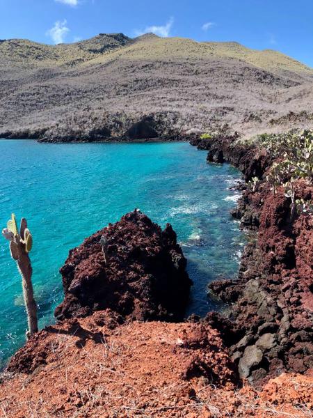 Série d’été | Ces 50 lieux à visiter après la pandémie : Les Îles Galápagos, Équateur