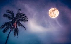 Que retenir de la pleine lune bleue en Verseau du 22 août ?