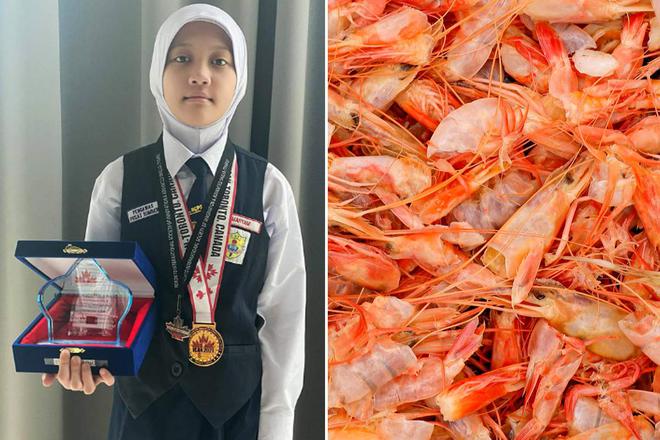 Une jeune fille de 11 ans invente un aliment pour animaux à base de déchets de fruits de mer