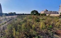 Un parc pour remplacer « la verrue » sur l’île Lacroix à Rouen