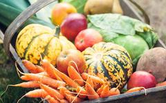 25 meilleurs fruits et légumes d’automne