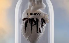 Landy – TPLF