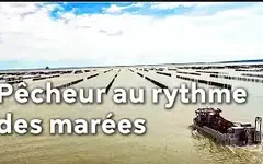 Baie du Mont Saint Michel : la course contre la montre des pêcheurs