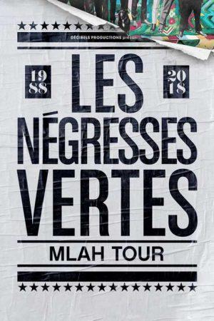 Les Négresses Vertes sont de retour à Paris pour un concert exceptionnel à la Maroquinerie
