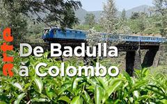 Sri Lanka, avec Rodrigo à bord du train bleu