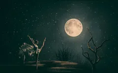 La pleine lune de Décembre aura le plus grand impact sur ces 4 signes du zodiaque