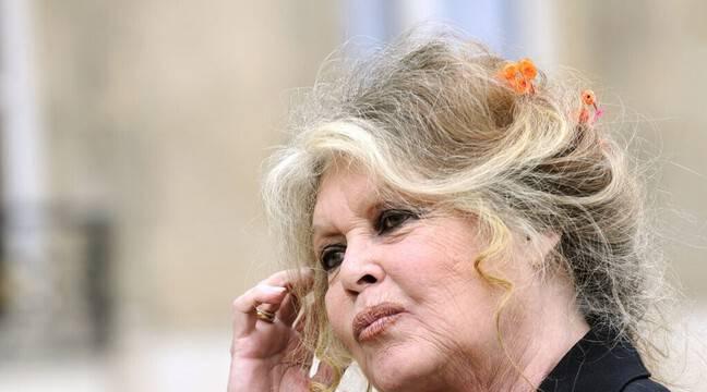 Vaccination contre le coronavirus : Brigitte Bardot refuse le vaccin et se dit « allergique à tous les produits chimiques »