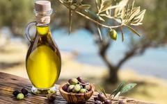 Les intérêts scientifiques de l'huile d'olive