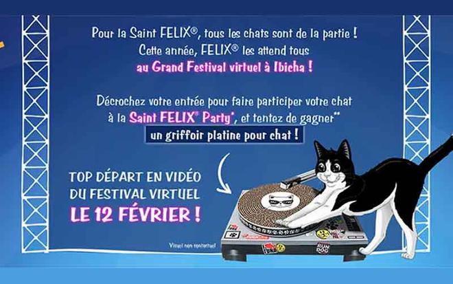 245 griffoirs platine pour chat offerts