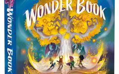 Wonder Book (Éditeur Da Vinci)