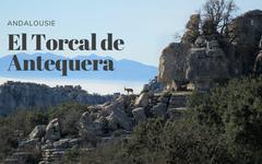 El Torcal de Antequera: paradis de la randonnée au nord de Malaga