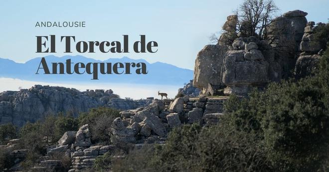 El Torcal de Antequera: paradis de la randonnée au nord de Malaga