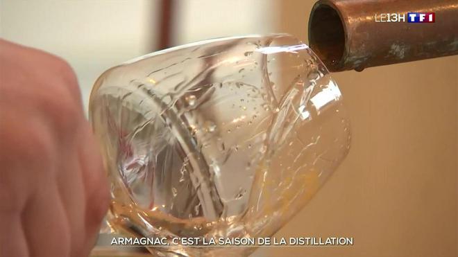 Armagnac, c'est la saison de la distillation