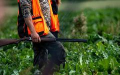 Accident de chasse dans le Cantal: les écologistes (re)demandent l’interdiction de chasser le week-end
