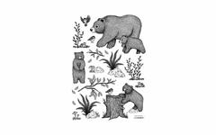 Sticker chambre bébé Lilipinso les ours : ambiance bucolique