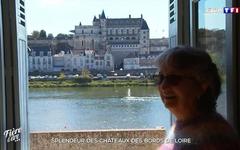 Splendeur des châteaux des bords de Loire