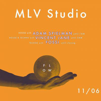 MLV Studio vous donne rendez-vous pour une deuxième soirée au Flow le 11 juin