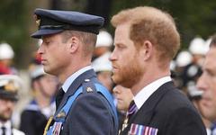 Funérailles d'Elisabeth II : William et Harry, deux frères liés par l'émotion
