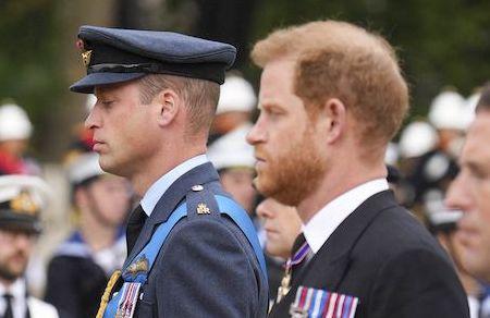Funérailles d'Elisabeth II : William et Harry, deux frères liés par l'émotion