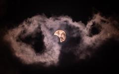 Ce que la Pleine Lune en Taureau et l'éclipse lunaire du 8 novembre réservent à votre signe astro