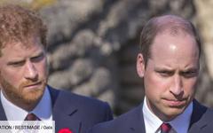 Prince Harry : avec William, c’est terminé !