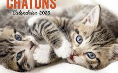 Chats & chatons – Calendrier 2023
