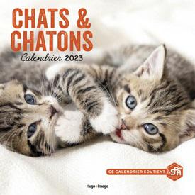 Chats & chatons – Calendrier 2023