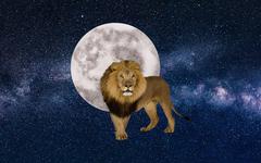 Mercure entre en Lion le 11 juillet 2023 : son influence sur tous les signes astrologiques