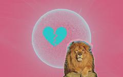 Pourquoi il ne faut jamais tomber amoureuse d'un Lion ?
