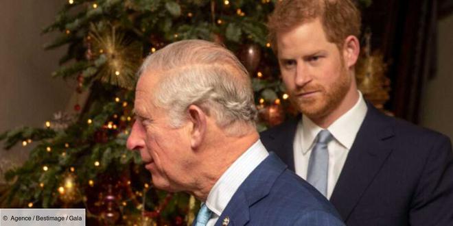 Charles III atteint d'un cancer : le prince Harry prend une décision forte