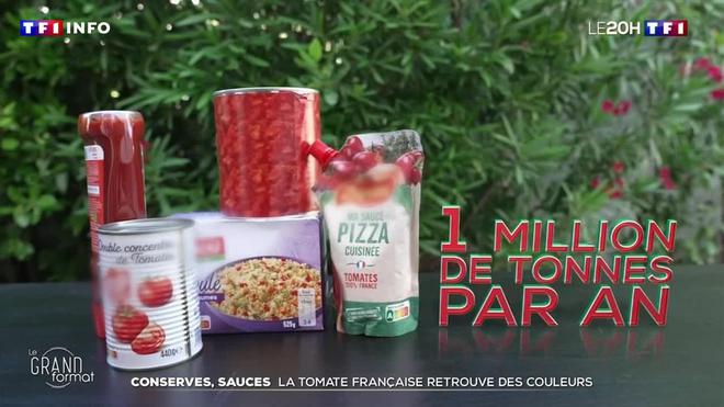 Conserves, sauces : la tomate française retrouve des couleurs