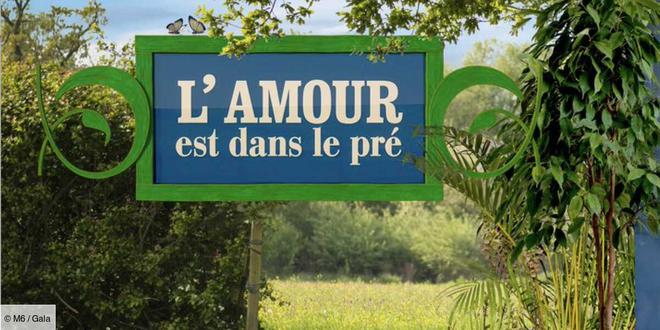 L’amour est dans le pré : cette grande première vécue par un agriculteur de la nouvelle saison