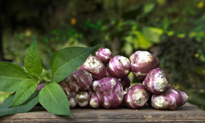 Recettes d’automne : 8 façons de ne pas cuisiner le topinambour