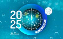 Calendrier de la Numérologie 2025 : Un Guide Complet de L’influence de Chaque Mois