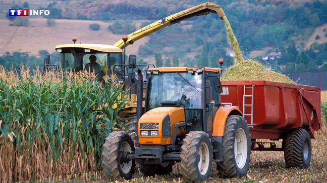 43% des terres agricoles destinées aux exportations : un rapport étrille la souveraineté alimentaire de la France