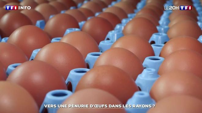 Vers une pénurie d’œufs dans les rayons ?