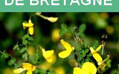 Livre audio gratuit : CHARLES-LE-GOFFIC - PRINTEMPS DE BRETAGNE
