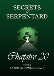 Livre audio gratuit : MATHILDE-VOUIN - SECRETS DE SERPENTARDS-TOME 1 CHAPITRE 20