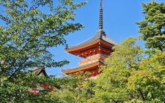Vacances au Japon : les défis du trop-plein