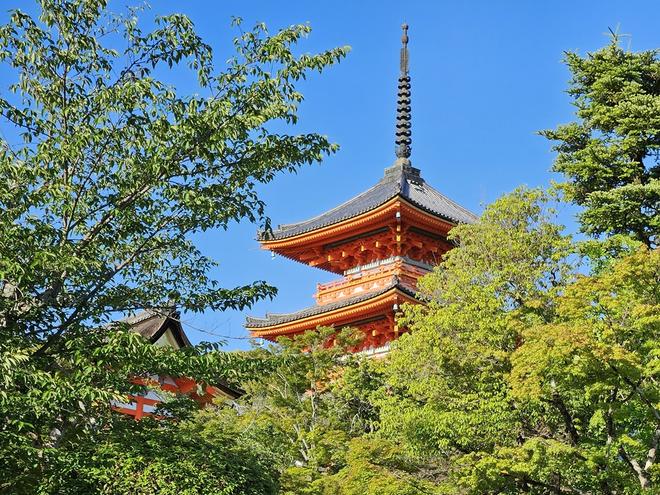 Vacances au Japon : les défis du trop-plein