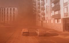 Ruben Impens, chef opérateur sur « Alpha » de Julia Ducournau