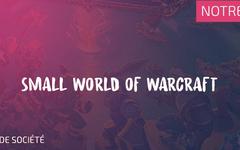 Small World of Warcraft