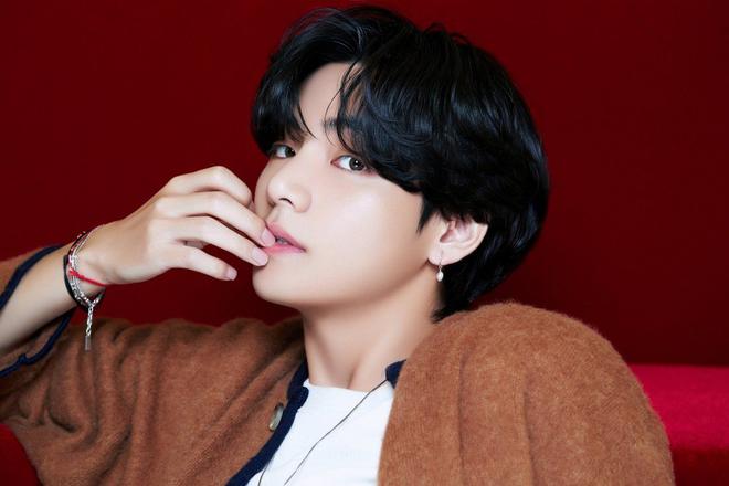 Les fans de V de BTS ont adopté un loup européen pour son anniversaire