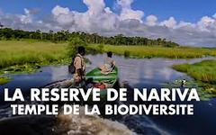 La réserve de Nariva, temple de la biodiversité