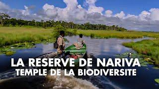 La réserve de Nariva, temple de la biodiversité